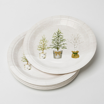Набор Tableware поставок дня рождения завода Biodegradable бумажных тарелок LFGB Compostable в горшке