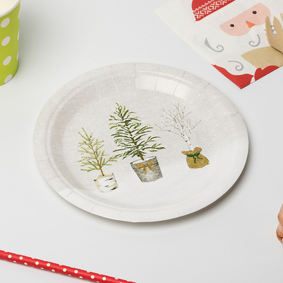 Набор Tableware поставок дня рождения завода Biodegradable бумажных тарелок LFGB Compostable в горшке