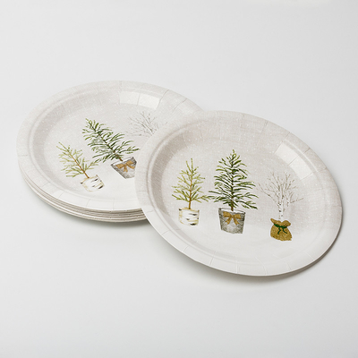 Набор Tableware поставок дня рождения завода Biodegradable бумажных тарелок LFGB Compostable в горшке
