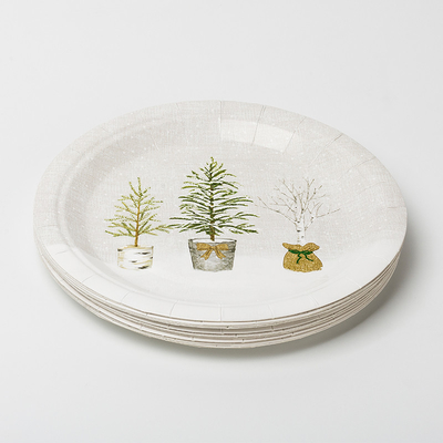 Набор Tableware поставок дня рождения завода Biodegradable бумажных тарелок LFGB Compostable в горшке
