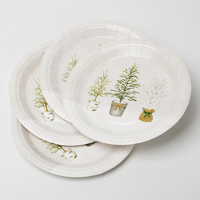 Набор Tableware поставок дня рождения завода Biodegradable бумажных тарелок LFGB Compostable в горшке